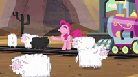 Pinkie curses the sheeps S5E11