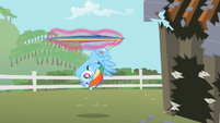 Rainbow Dash being stopped S2E03