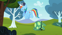 Rainbow Dash flying past Tank S2E07