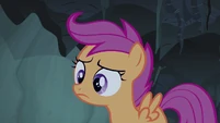 Why is the simple act of perking ears so cute with these ponies?