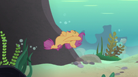 Scootaloo swims happily after her friends S8E6