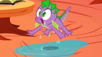 Soaked Spike