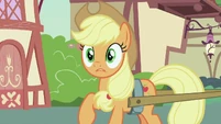 Applejack surprised over Rarity's announcement S7E9.png (1.01 MB)