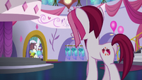 Fashionable Pony enters Canterlot Carousel S5E14