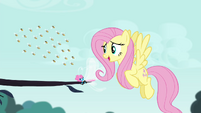 Fluttershy "back off my Breezie friend" S4E16