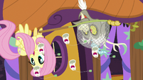 Fluttershy and Discord laugh at singing ginseng S7E12