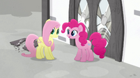 Pinkie and Fluttershy hear the Hoofingtons MLPRR