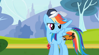 Rainbow Dash looking at butterfly S2E07