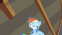 Rainbow Dash throwing piece of wood S2E03