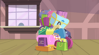 Rarity's last pile of bags S4E08