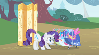 Rarity clothes rack S1E20