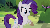 Rarity com a pata suja de lama T4E03