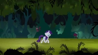 A glamorous lady is trotting through the forest like she owns it.
