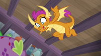 Smolder impressed by Spike's fire burps S8E11