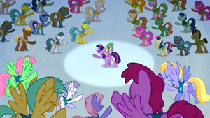 Spotlight on Twilight Sparkle S1E11