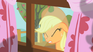 -Applejack22 S01E18