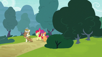 Apple Bloom, Scootaloo, Zipporwhill, and Ripley appear S7E6