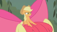 Apple Bloom disobeys Applejack S1E09