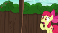 Apple Bloom shocked to see her cart S6E14