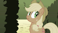 Applejack claims she didn't notice anything strange about Pinkie S2E01