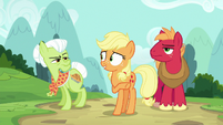 Applejack directs Granny to the back of the hospital S6E23