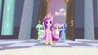 Fake Cadance and her bridesmaids