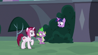 Cayenne notices Twilight in the bushes S9E5