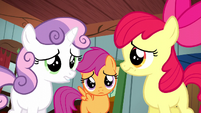 Cutie Mark Crusaders don't know what to do S5E6