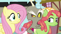 Discord interrupts Fluttershy and Tree Hugger S5E7