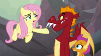 Fluttershy "some dragons I know" S9E9