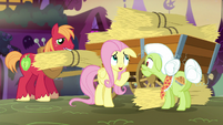 Fluttershy "you do seem to have quite a lot" S5E21