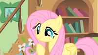 Fluttershy --running out of time--- S01E22
