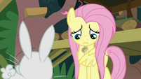 Fluttershy considering her to-do list S9E18