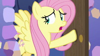 Fluttershy enters the castle kitchen S7E20