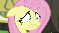 Fluttershy extremely worried S5E11