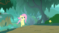 Fluttershy getting closer to the sound S8E18