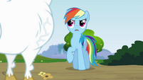 Rainbow 'I like your attitude, Bulk Biceps' S4E10