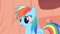 Rainbow Dash is uncertain when Pinkie asks her that.