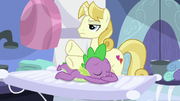 Spa pony giving Spike a masage S5E10