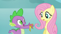 Spike gives Fluttershy the Element of Kindness S03E10