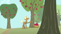 Trenderhoof punches an apple tree S4E13