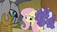 Zecora looking at remorseful Fluttershy and Rarity S1E09