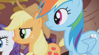 Applejack and Rainbow Dash side by side S1E02