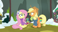 Applejack asks where Fluttershy bought the doll MLPBGE