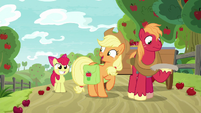 Applejack ready to hunt with Apple Bloom S9E10