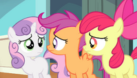 CMC looking at each other S4E24