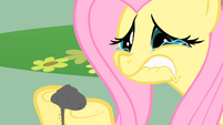 Crying Fluttershy S01E22