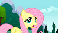 Fluttershy Screaming and Hollering S01E16