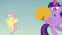 Fluttershy and Twilight dodge another pumpkin S5E23