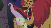 Manticore licking Fluttershy's mane S1E02